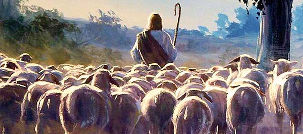 Jesus and sheeps 600x265